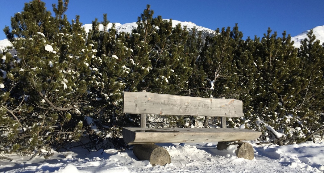 Sitzbänke Champagnola (oua_621867120_image)