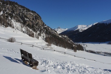 Panchina Bannchs (oua_621867121_image)