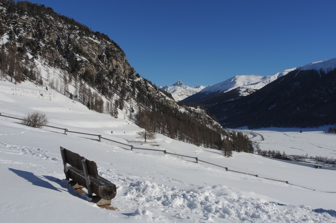 Bench Bannchs (oua_621867121_image)