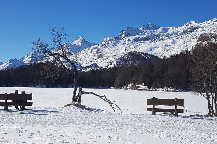 Sitzbänkli am Silserseeufer (oua_621867146_image)