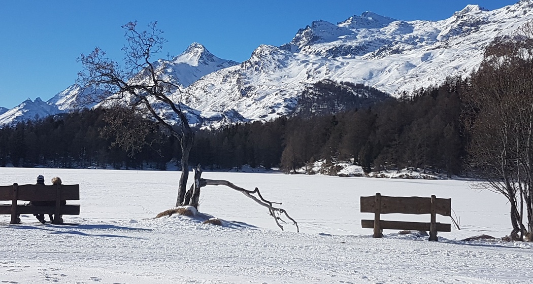 Sitzbänkli am Silserseeufer (oua_621867146_image)