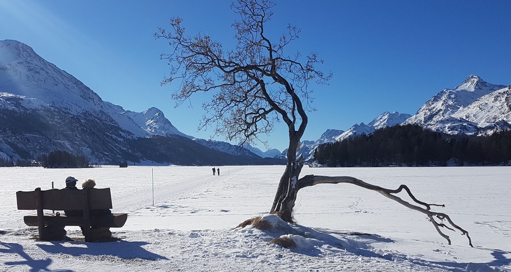 Sitzbänkli am Silserseeufer (oua_621867151_image)