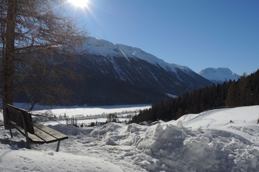 Sitzbank Arschaida Reservoir (oua_621867155_image)