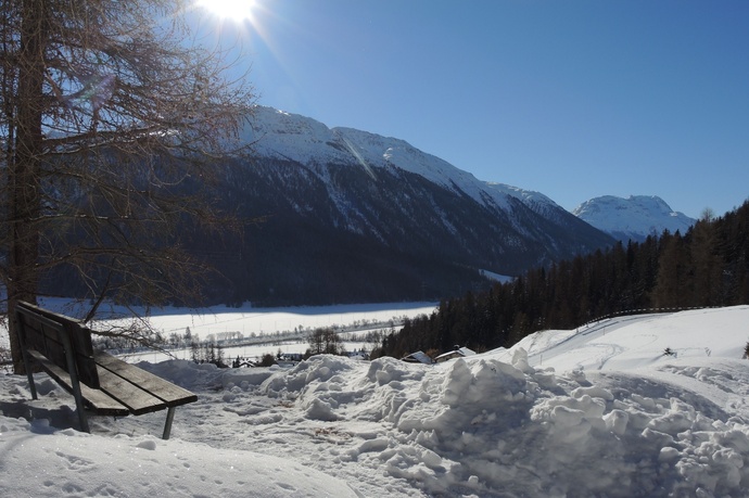 Bench Arshaida Reservoir (oua_621867155_image)