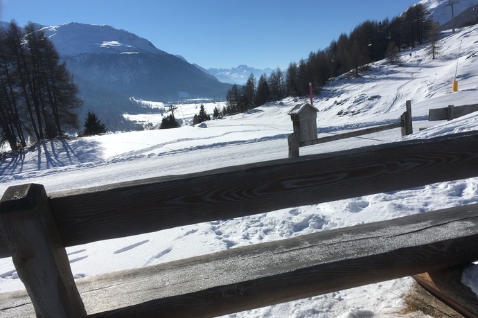 Sitzbank Purtum III (oua_621867156_image)