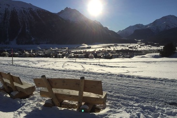 Panchine Survih (oua_621867175_image)