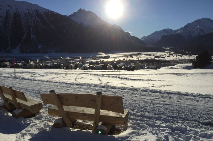 Survih benches (oua_621867175_image)