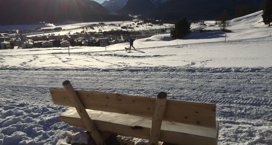 Sitzbänke Survih (oua_621867177_image)