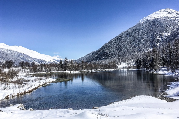 Lake Gravatscha (oua_621867197_image)