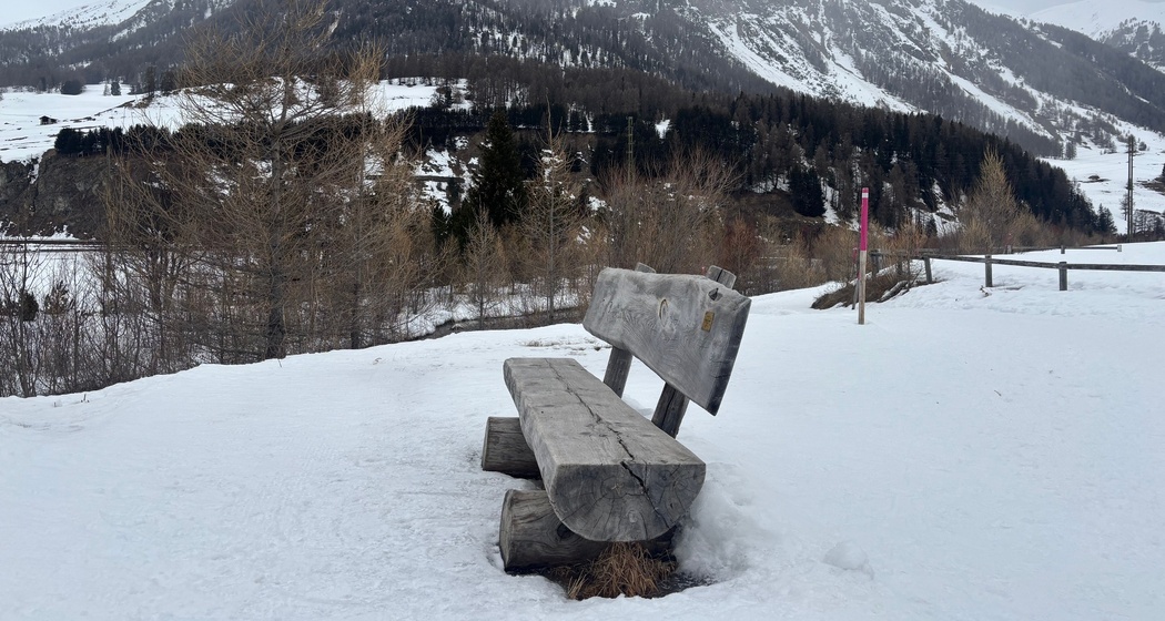 Sitzbänke Golfplatz (oua_621867204_image)