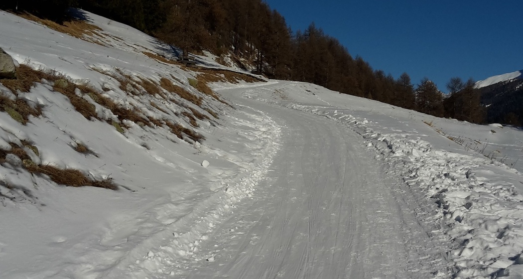 Sitzbänke Bever (oua_621867208_image)