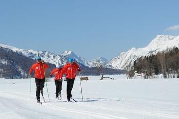 Centro di sci di fondo Sils (oua_621867351_image)