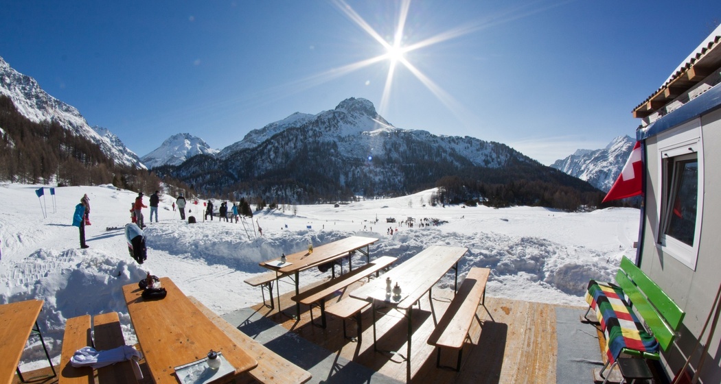 Bistro Pony (oua_621867358_image)