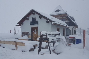 Bar Cetto (oua_621867459_image)