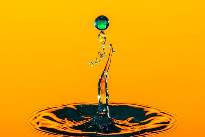 Galleria Forestale - Mostra "Gocce" (oua_621956790_image)