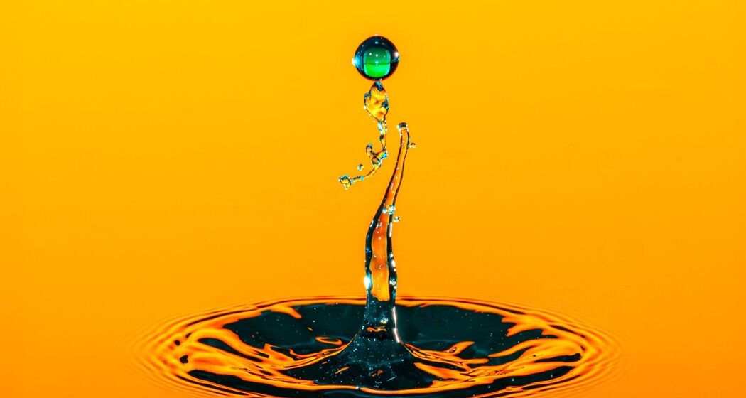 Waldgalerie - Ausstellung "Tropfen" (oua_621956790_image)