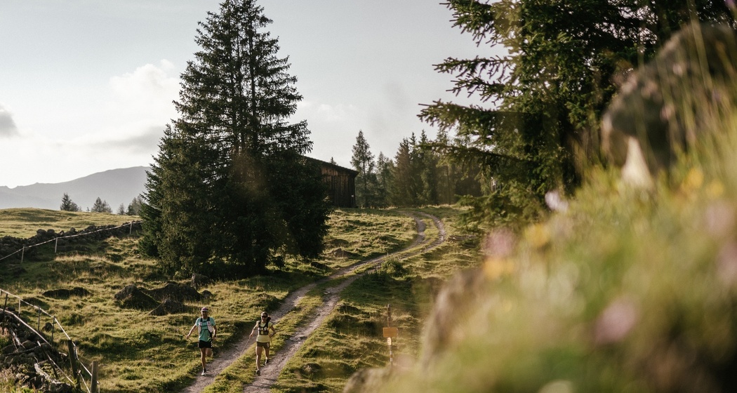 Drusatscha (oua_62201703_image)