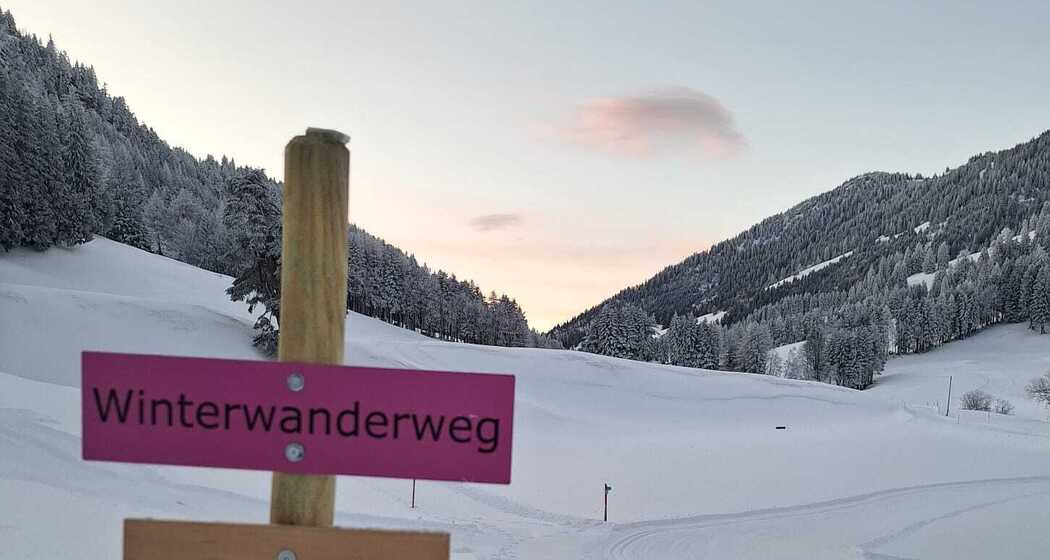 Flache Routenführung am Winterwanderweg Dörfli-Fürggli