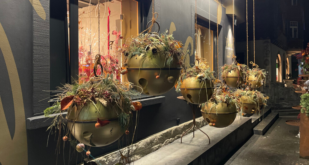 Fluras Candinas (oua_622131302_image)