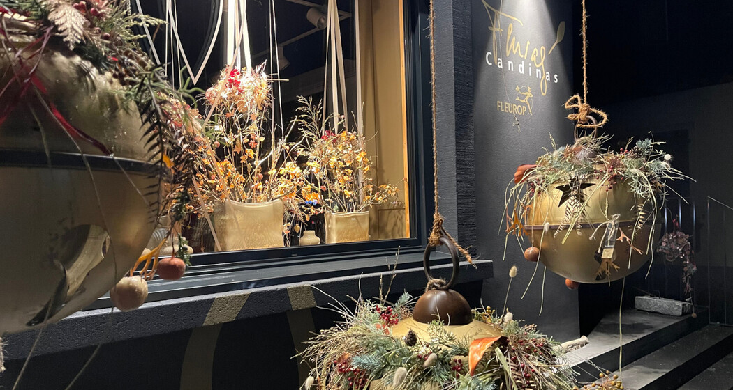 Fluras Candinas (oua_622131303_image)