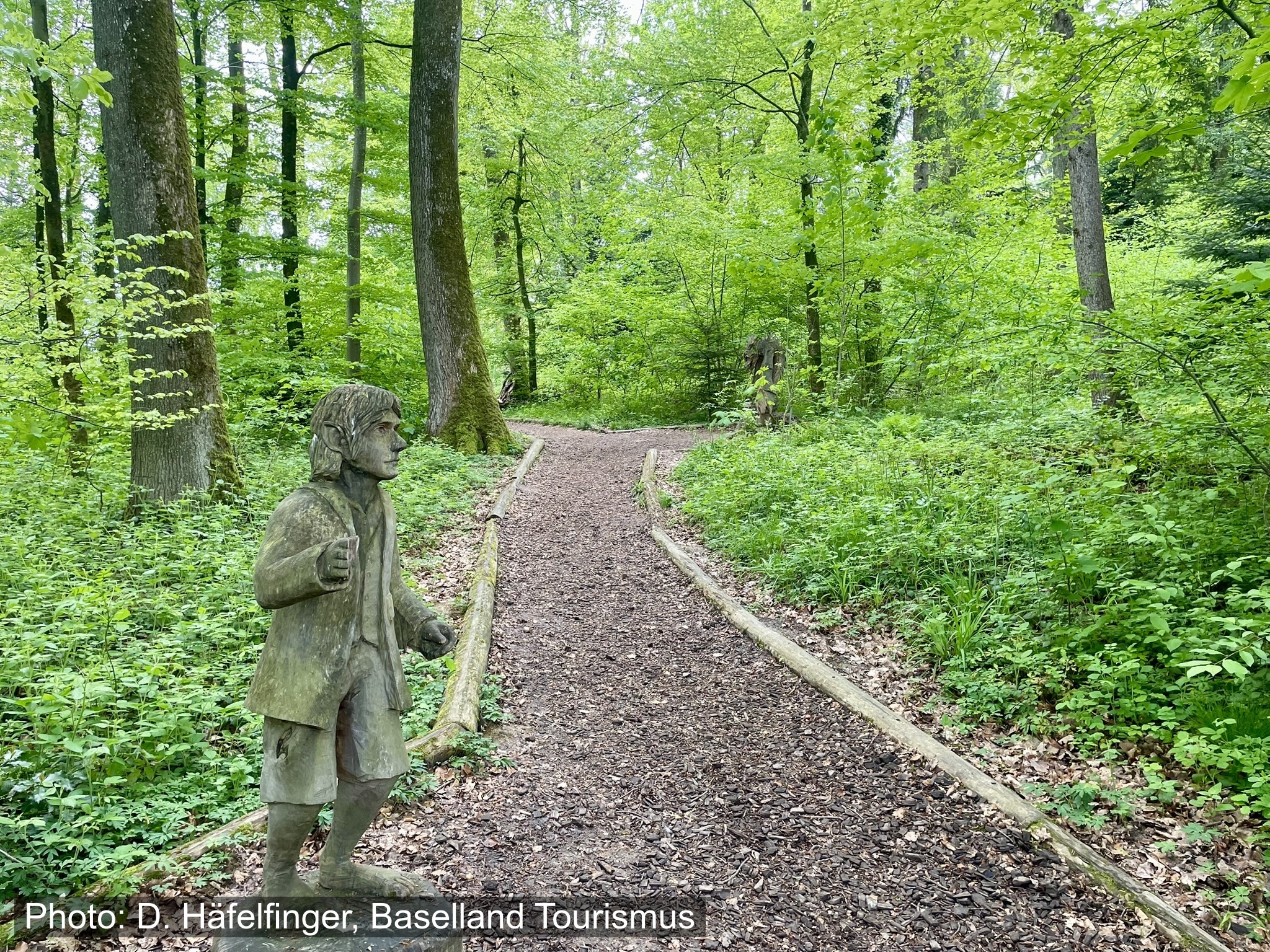 Kinderwagenwanderung: Im verzauberten Märchenwald