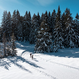 255 Bual Loipe (oua_622361636_image)