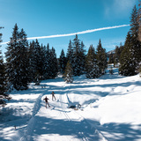 256 Piste de course La Pala (oua_622362115_image)