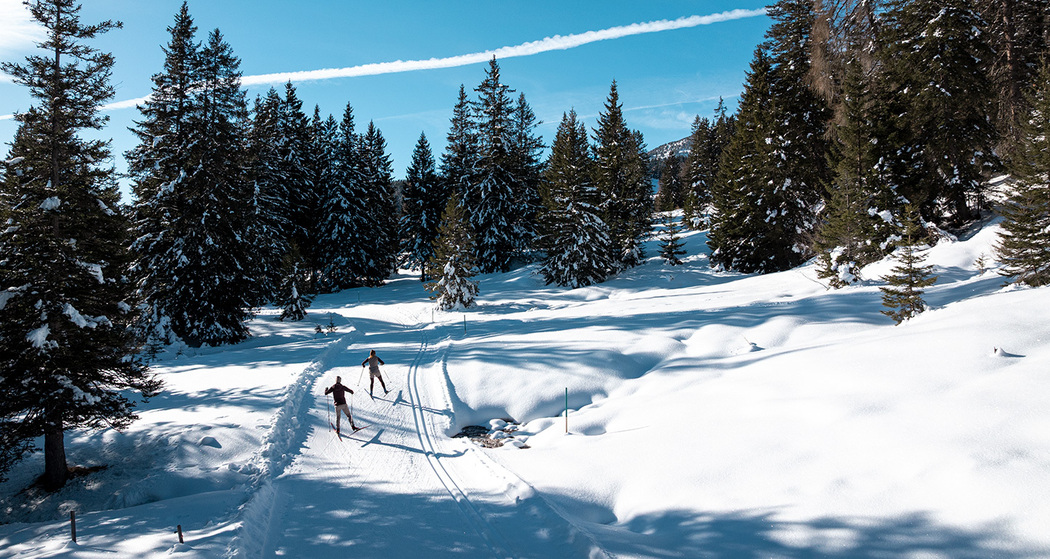 256 La Pala Rennloipe (oua_622362115_image)