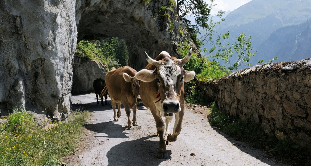 Alprestaurant Siez (oua_622367591_image)