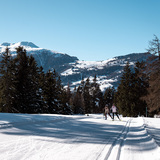 Lantsch/Lenz - Lenzerheide - Lantsch/Lenz (oua_622403632_image)