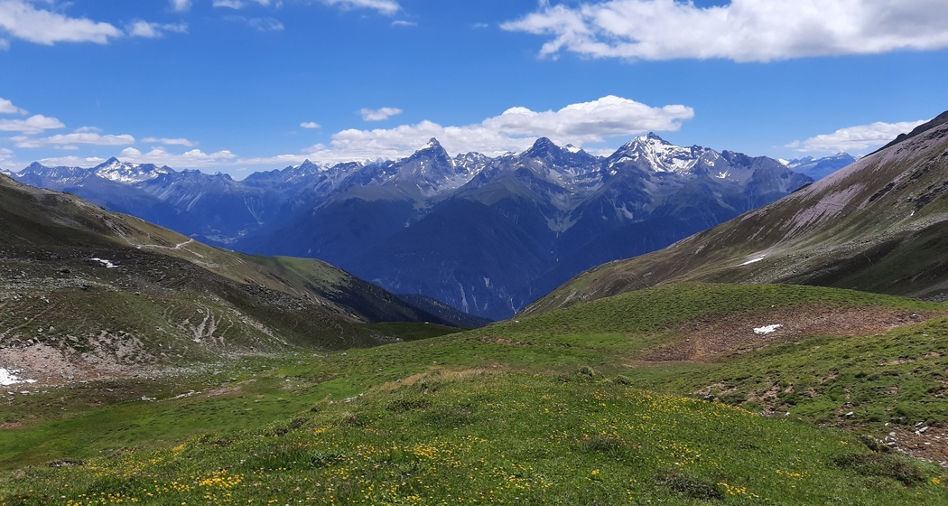 Weidegebiet Alp Sanaspans