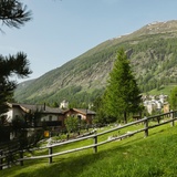 Ricola Kräutergarten