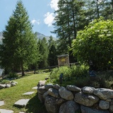 Ricola Kräutergarten