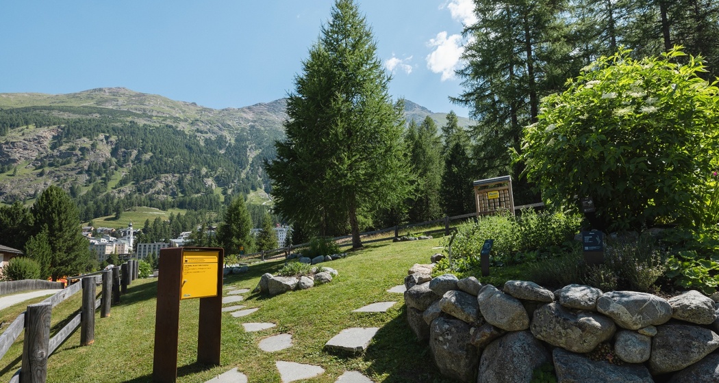 Ricola Kräutergarten