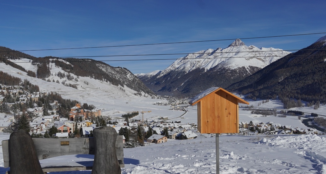 Sitzbank Purtum II «Lö Da Ler – Lesebank» (oua_623055548_image)