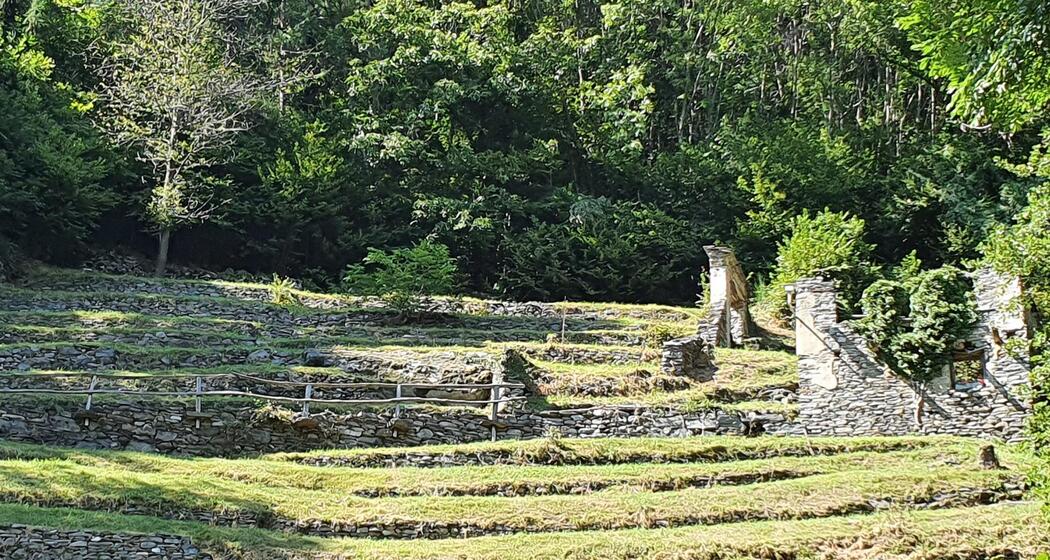 oua_62317200_image Mulini di Pisela