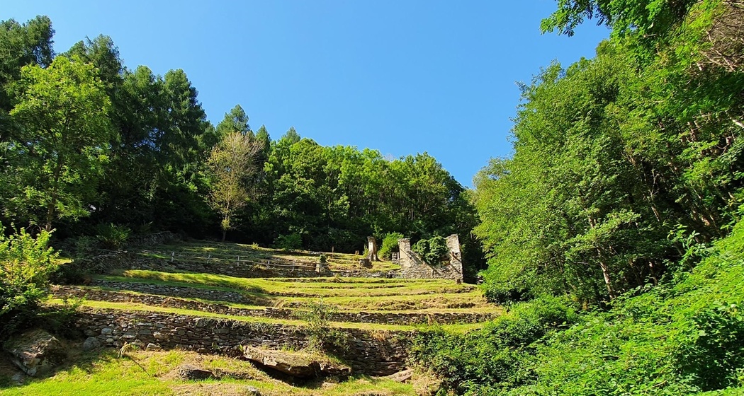 oua_62317223_image Mulini di Pisela