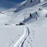 Sonnenaufgangsschneeschuhtour Peaks Place Laax - Curnius (oua_623237536_image)