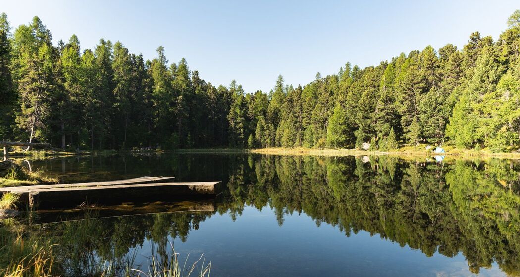 Lej Nair Silvaplana (oua_623596863_image)