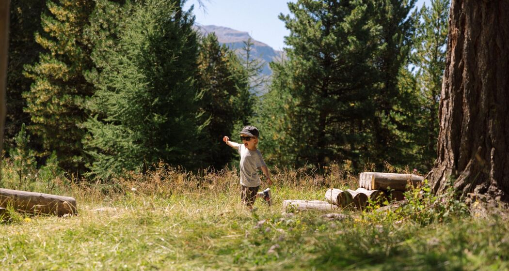 Kinderspielplatz Silva Parcours (Waldspielplatz) (oua_623597789_image)