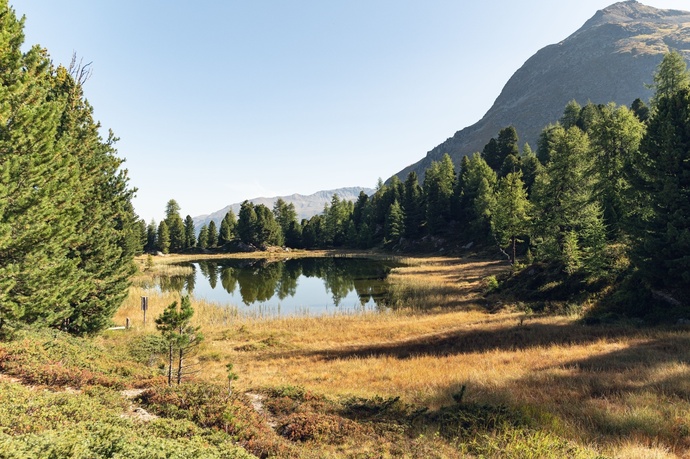 Lej dals chöds (Hahnensee) (oua_623635275_image)