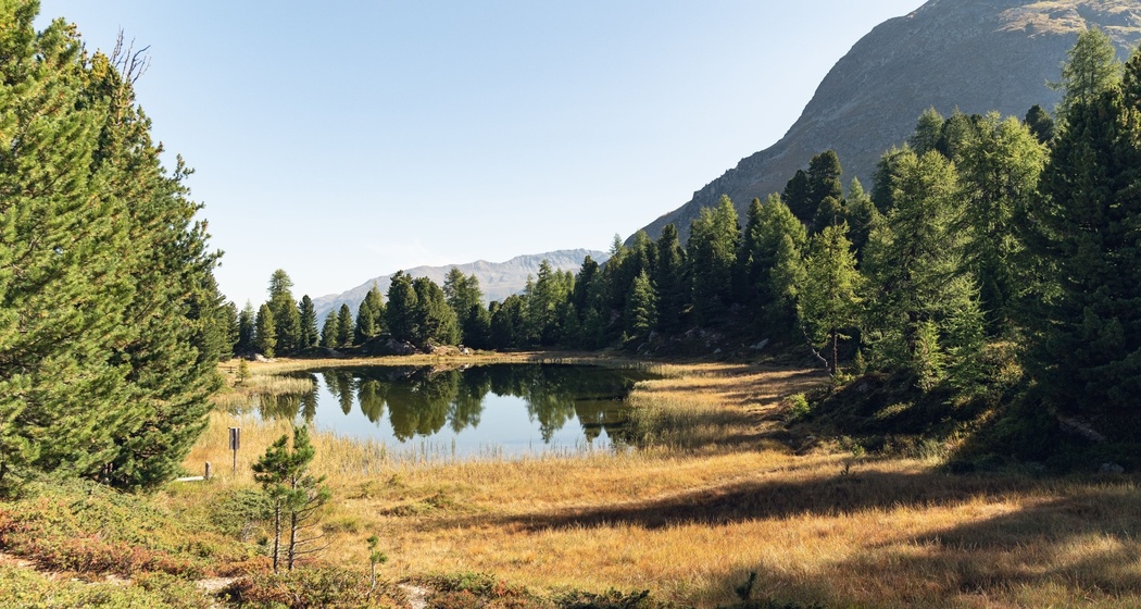 Lej dals chöds (Hahnensee) (oua_623635275_image)