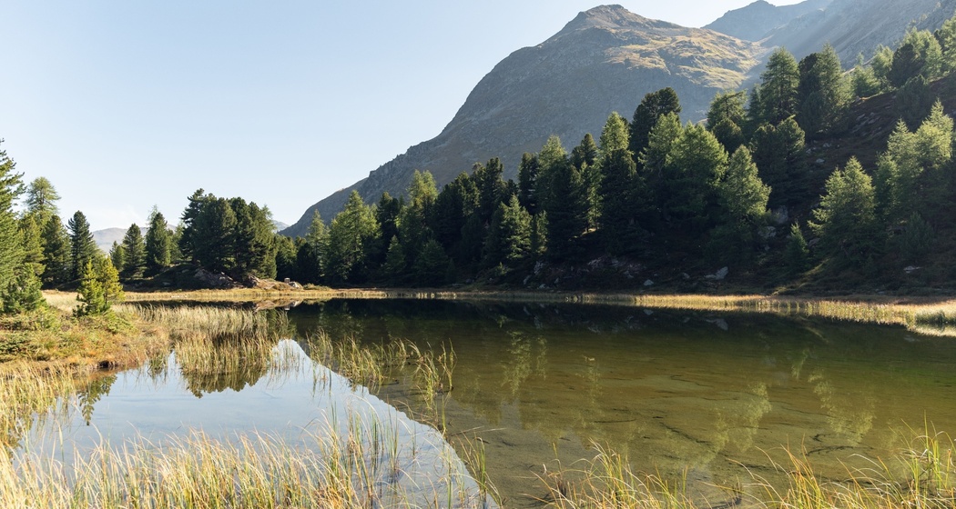 Lej dals chöds (Hahnensee) (oua_623635276_image)