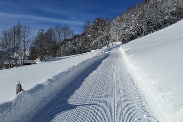 Schlittelbahn Schrina (oua_623817812_image)