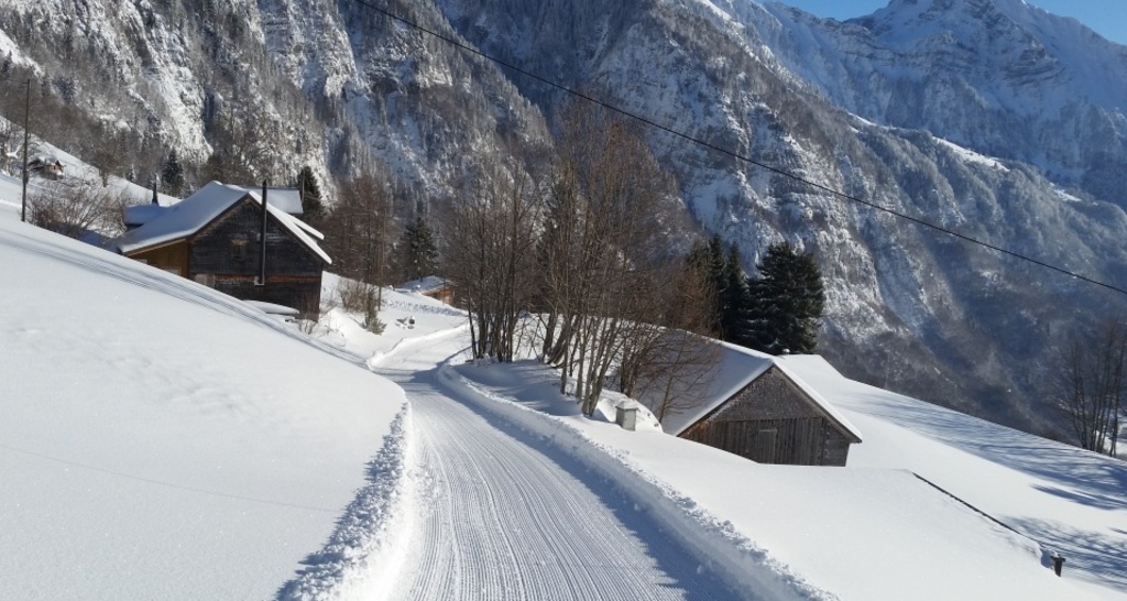 Schlittelbahn Schrina (oua_623817813_image)