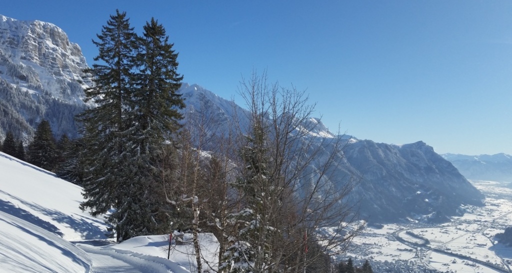 Schlittelbahn Schrina (oua_623817814_image)