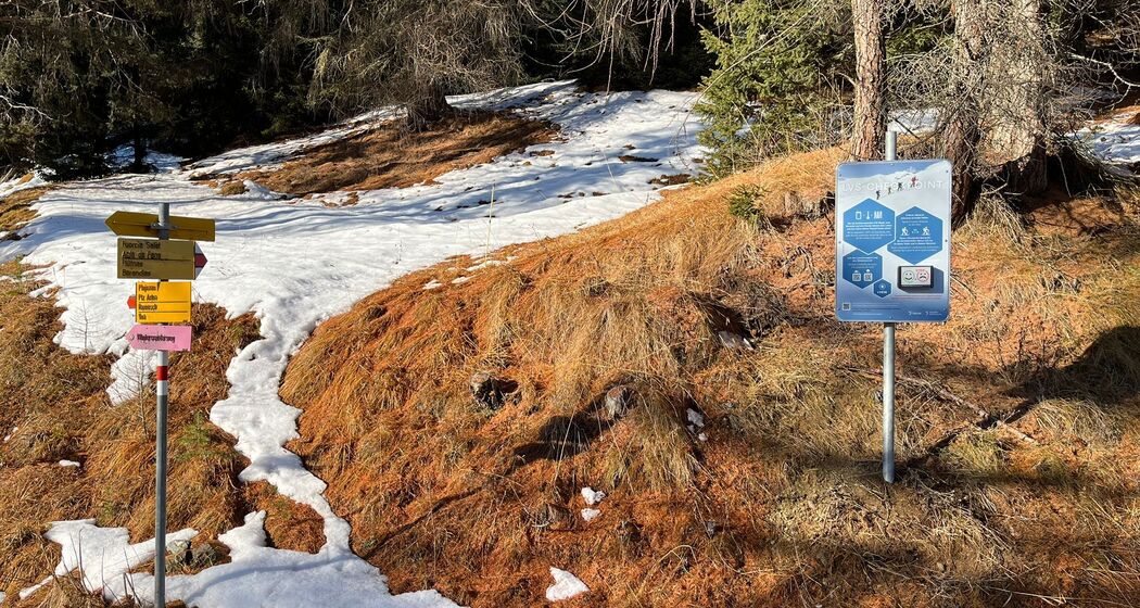 LVS-Checkpoint Tschlin (oua_623819611_image)