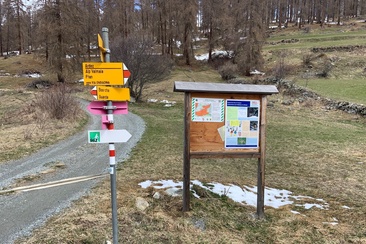 LVS-Checkpoint Bos-cha (oua_623820097_image)