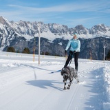 Start der Hundeloipe