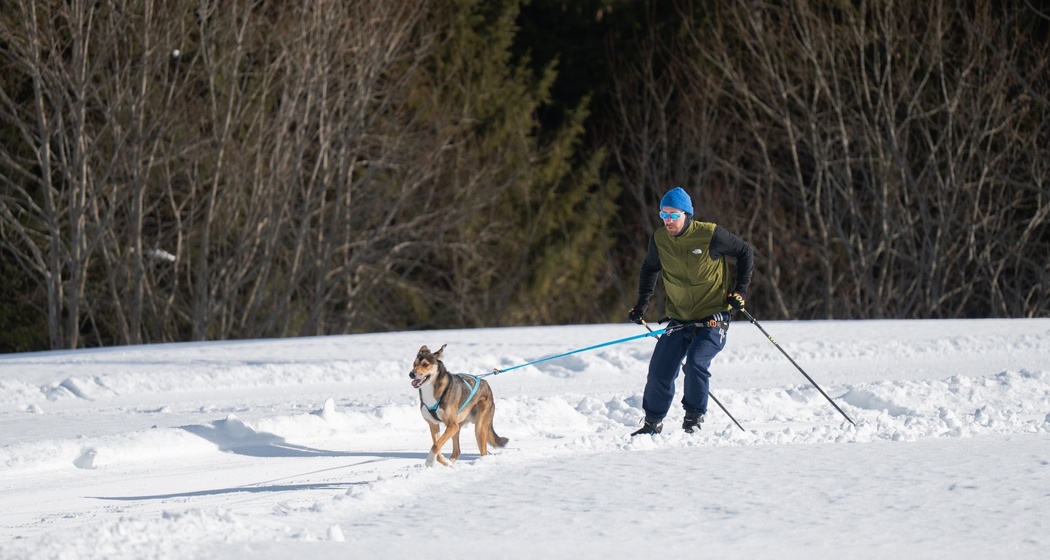 Mensch-Hund-Team unterwegs auf der Hundeloipe am Flumserberg